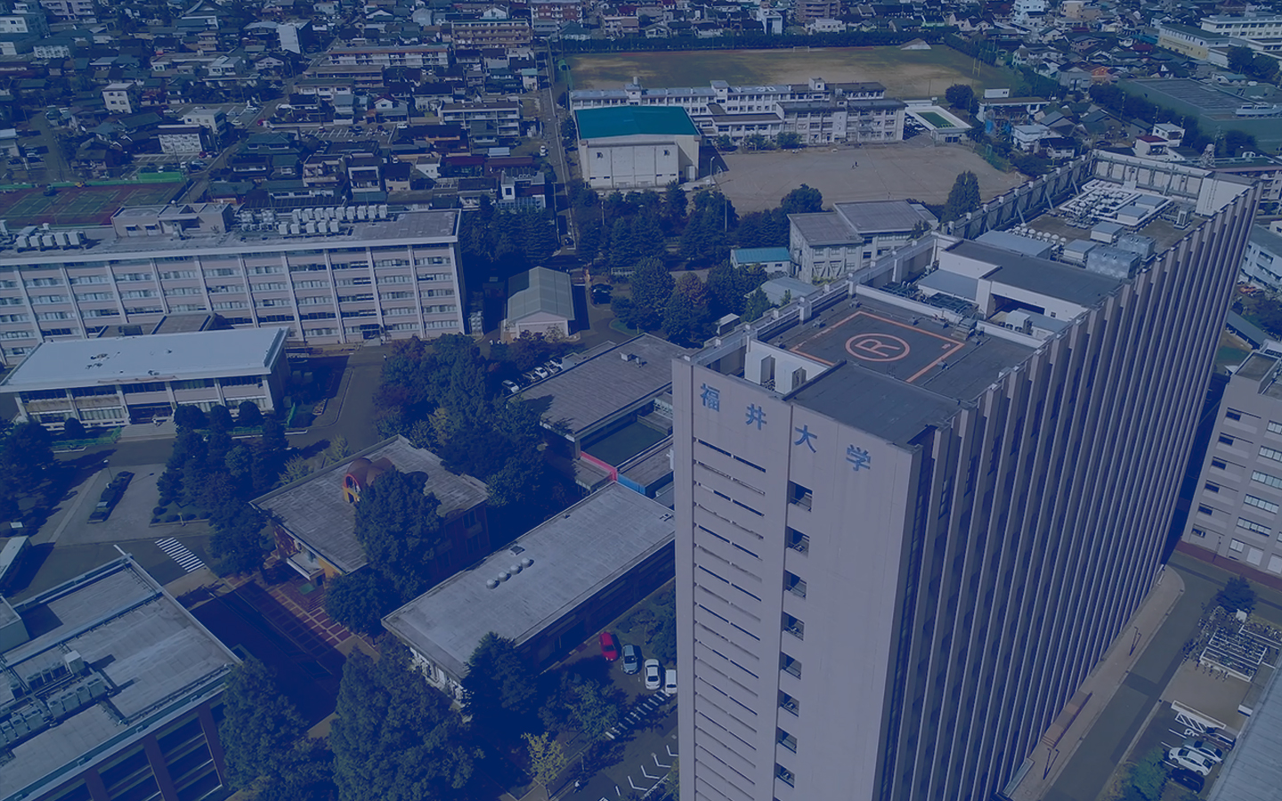 English ｜ UNIVERSITY OF FUKUI->英語の文法