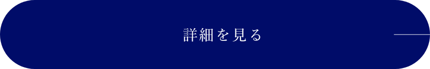 詳細を見る