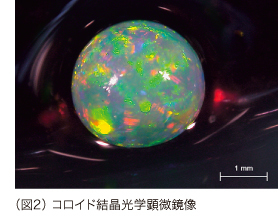 （図2） コロイド結晶光学顕微鏡像