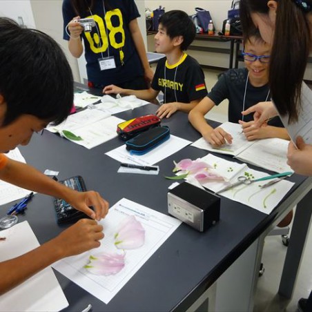 「生命（生物学）」の実験実習の様子