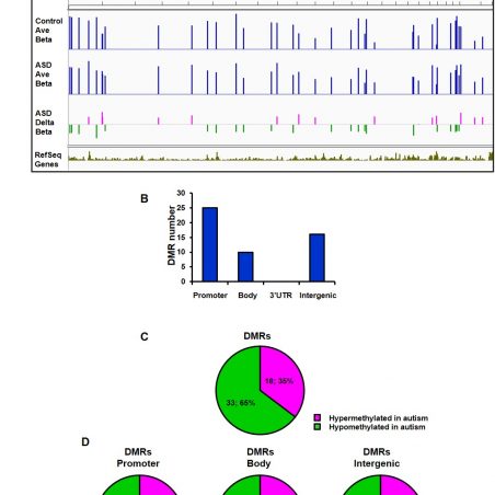 Mapping DNA methylation in brain samples of patients with autism spectrum disorder