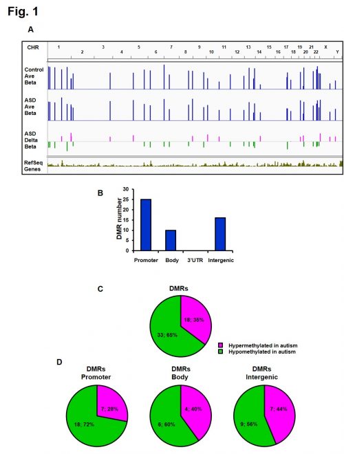 Mapping DNA methylation in brain samples of patients with autism spectrum disorder