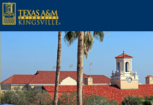 TEXAS A&M image
