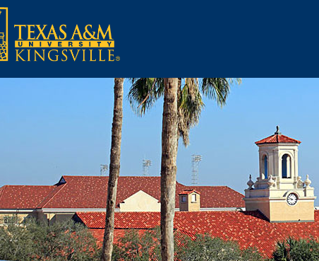 TEXAS A&M image