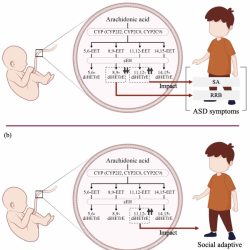 Polyunsaturated fatty acids and its association with autism spectrum disorder (ASD)