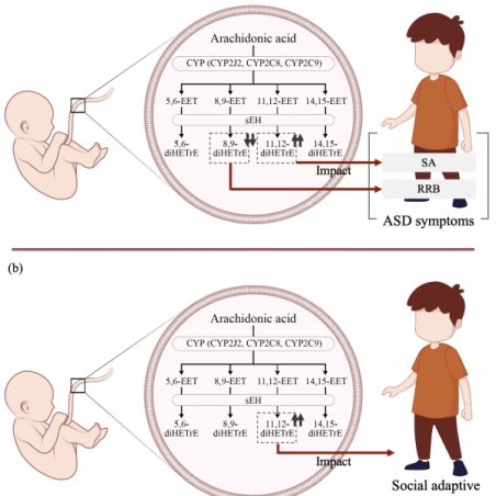 Polyunsaturated fatty acids and its association with autism spectrum disorder (ASD)