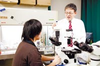 クラゲコラーゲン上で培養した細胞解析の実験指導。