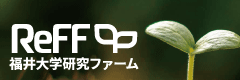 研究ファーム
