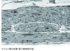 p11_2