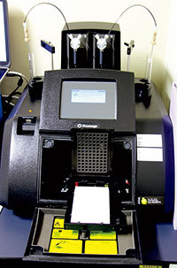 CDX2などの転写因子の活性を測定するルミノメーター