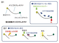 プリント