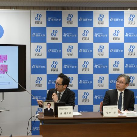 胃腸の細胞が作られる仕組みを解明し、報道発表を行いました